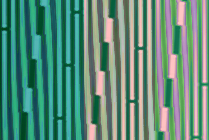 Algorithmic art